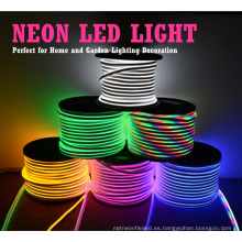 110 v 220 v luz de tira de neón flexible rojo azul amarillo verde blanco cálido rgb decoratio al aire libre led neón precio de la flexión